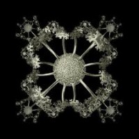 /album/fotogaleria/images-36-jpg/